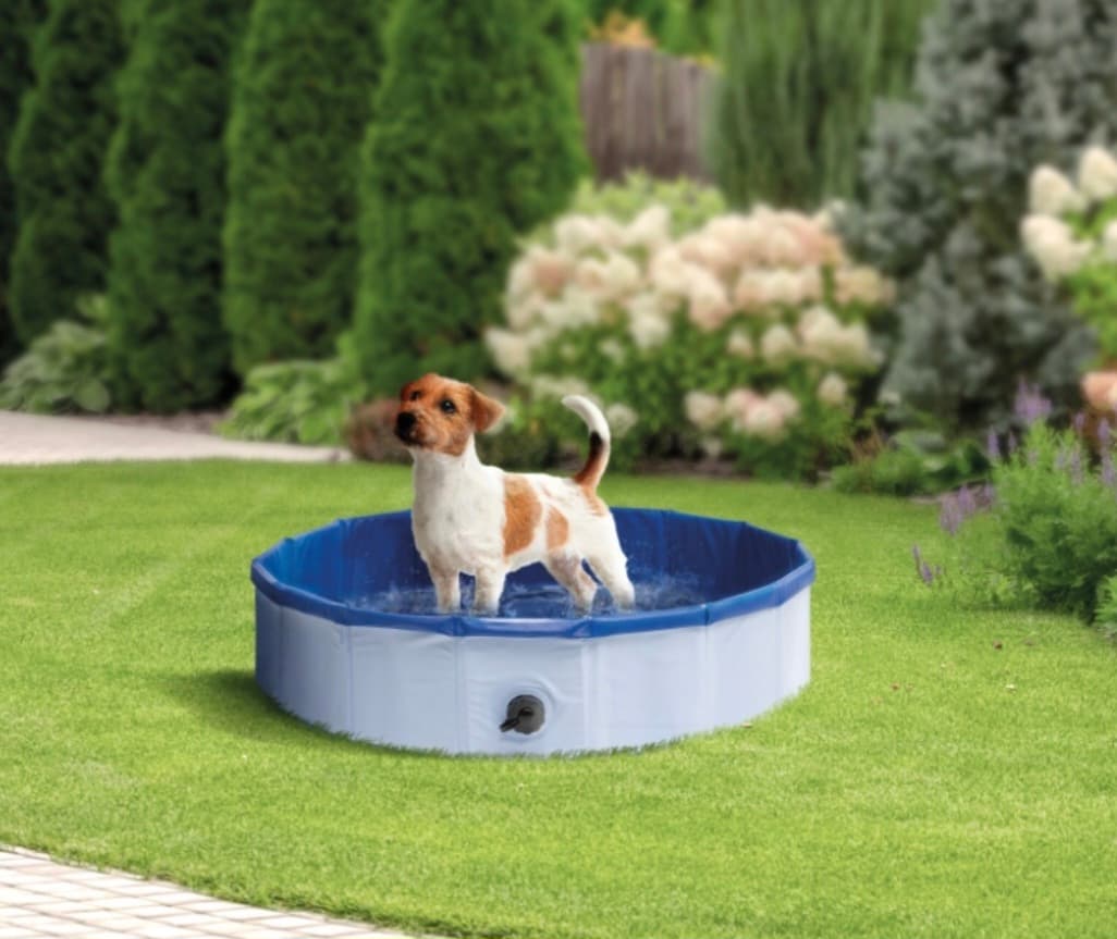 Dog Pool – ShopDe.ee