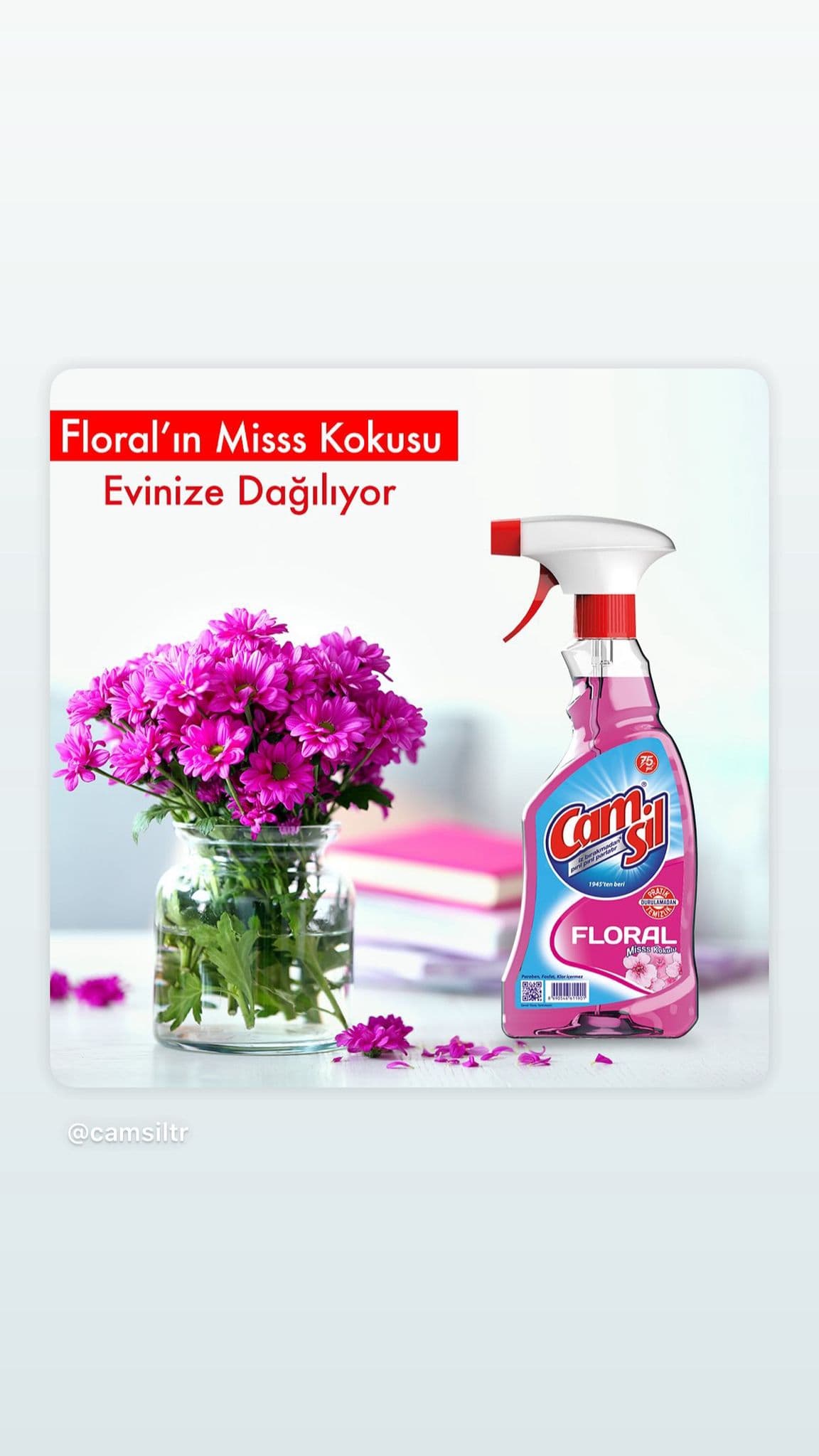 Camsil – Klaaspuhastusvahend, 500 ml – ShopDe.ee